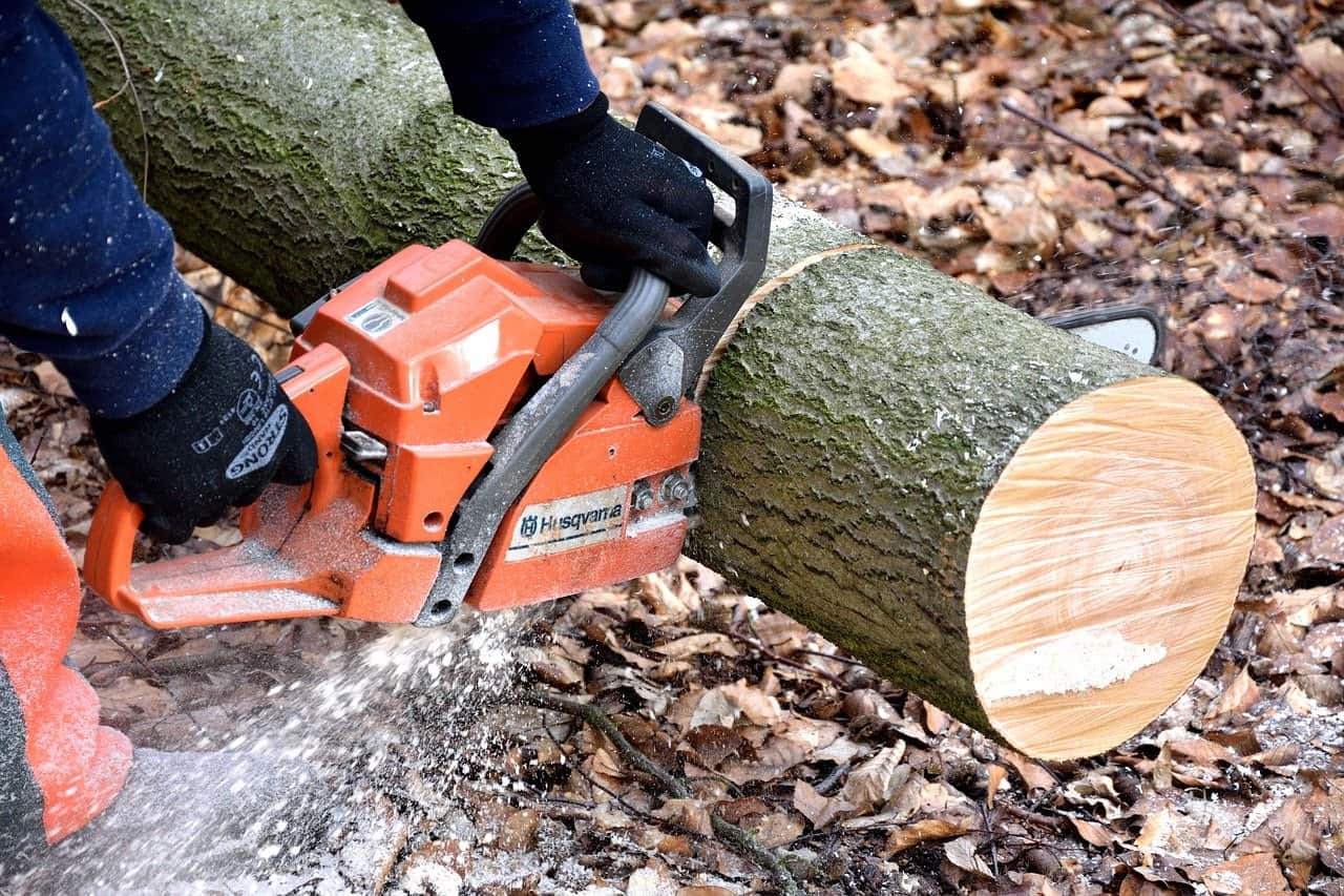 An image of a person using one of the most powerful Husqvarna chainsaw