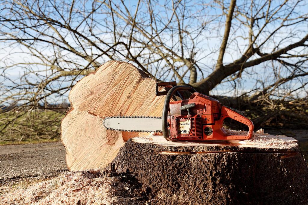 An image of a Husqvarna chainsaw on top of a chopped tree