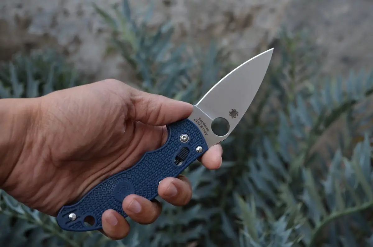 A person holding a utility knife with a blue handle on their left hand near a green plant