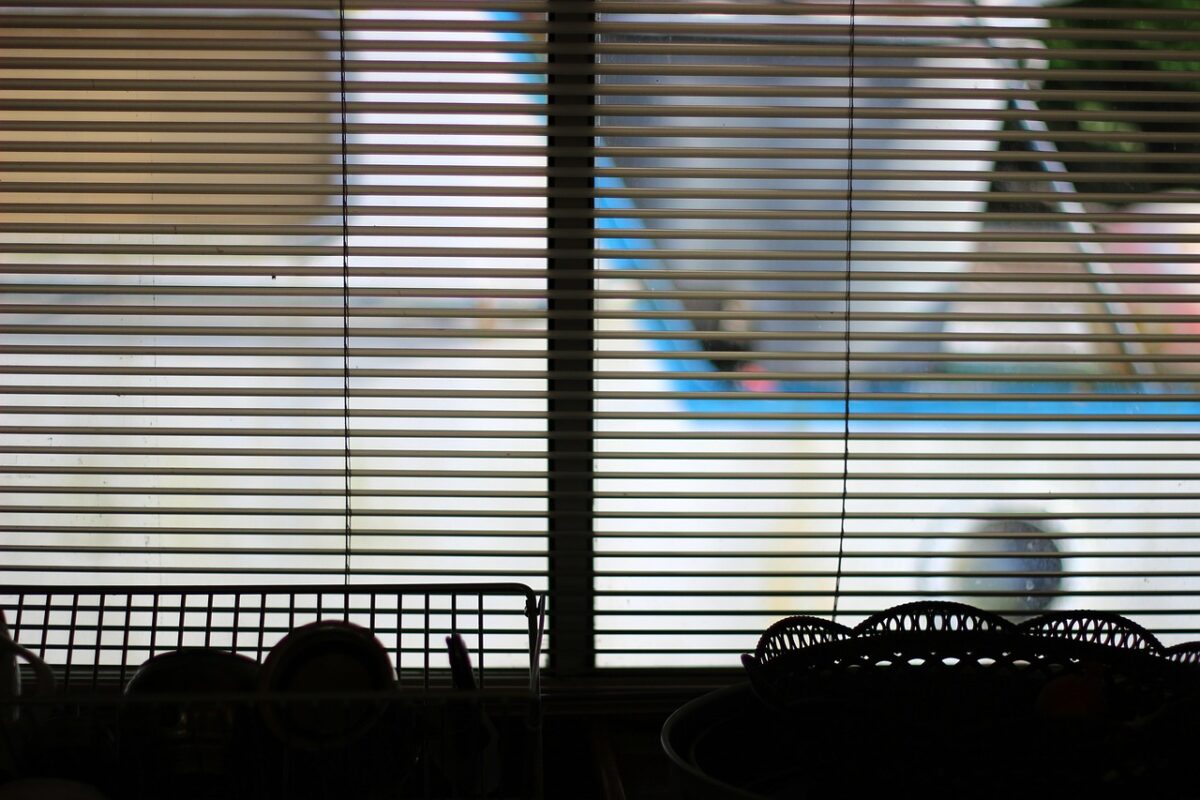 A dimmed view of a window with open blinds