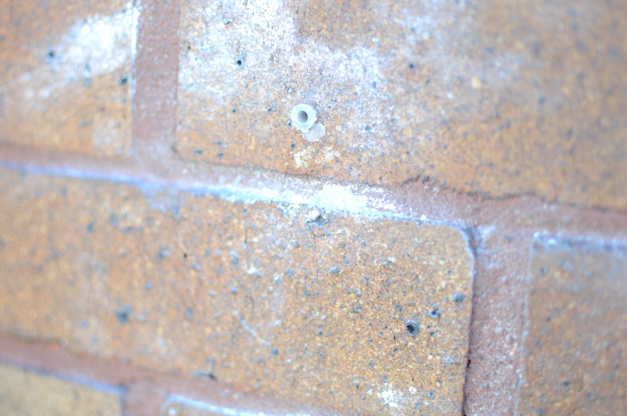 What Drill Bit to Use for Brick? Builder Create